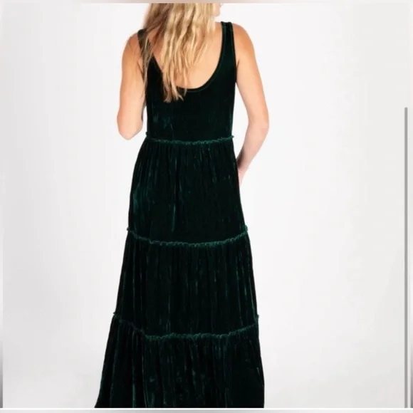 Natural Life Karlie Velvet Maxi Dress - Picture 5 of 6